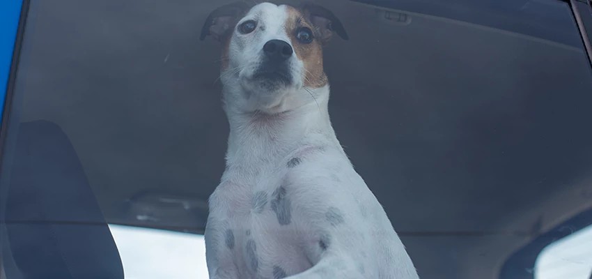 Car Lockout Solutions in Castroville, California