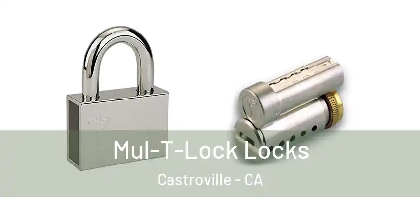  Mul-T-Lock Locks Castroville - CA